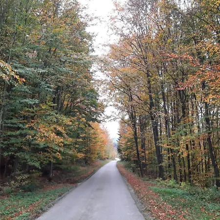 Homestay szállás Erholungsheim Im Wienerwald Irenental