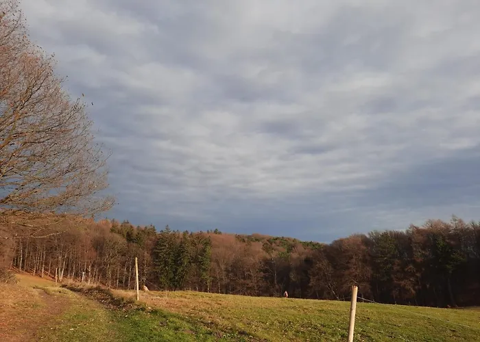 Habitación en casa particular Erholungsheim Im Wienerwald