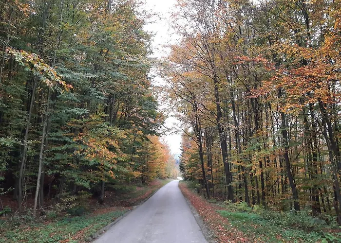 Habitación en casa particular Erholungsheim Im Wienerwald Irenental